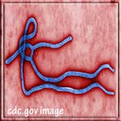 cdc_ebola_virus
