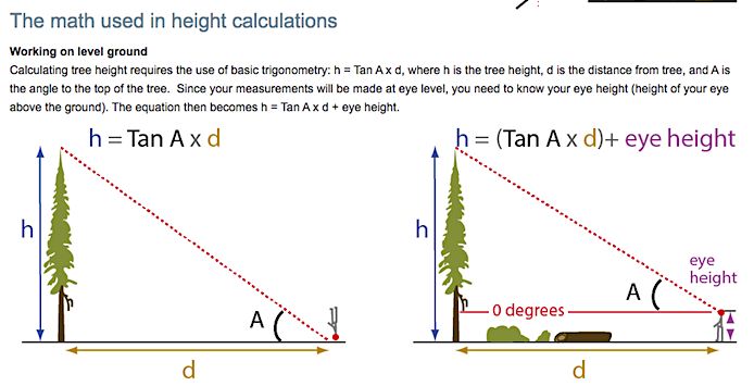 tree_measure